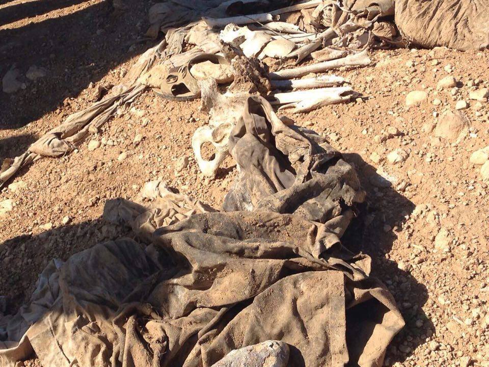 Sinjar 4