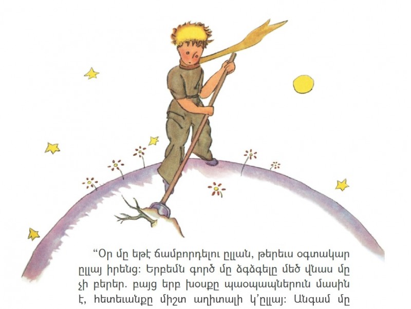 The Little Prince 2